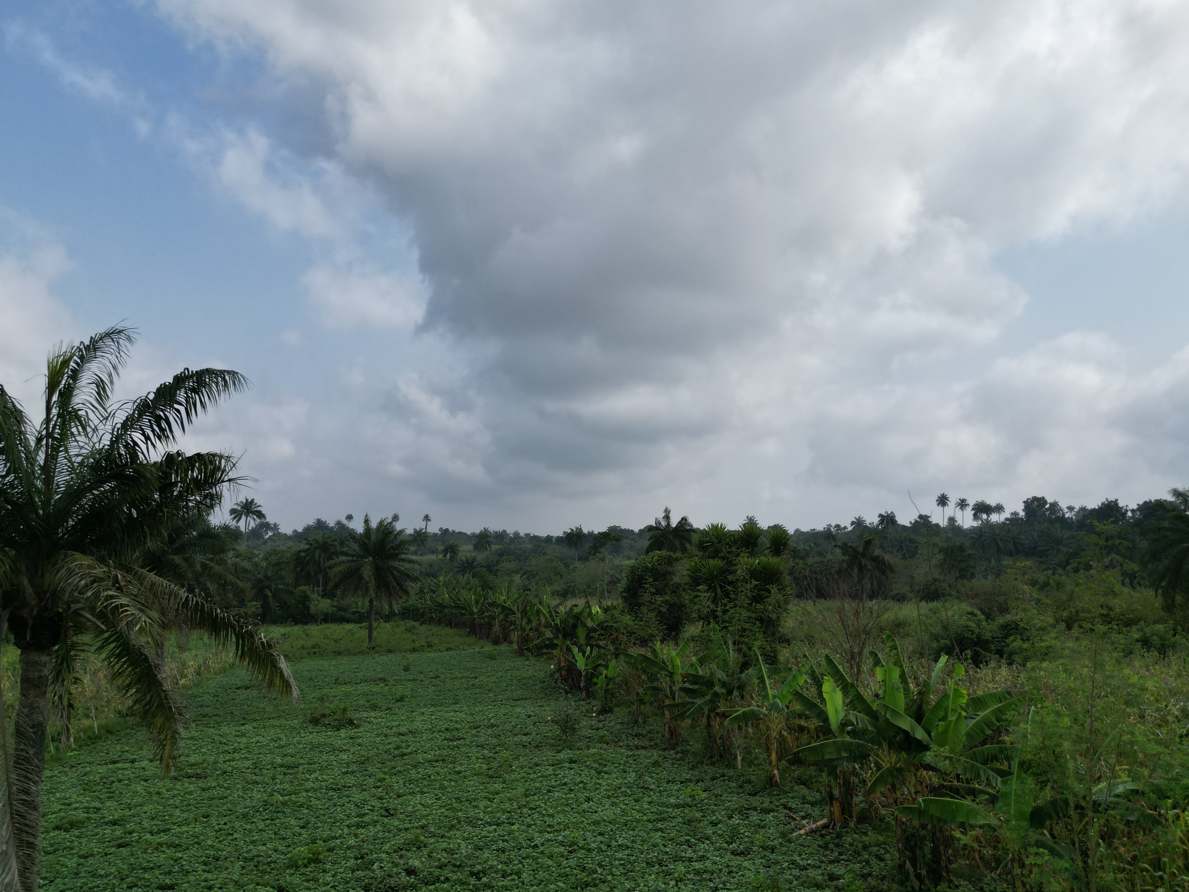Farmer holding a crate of fresh produce